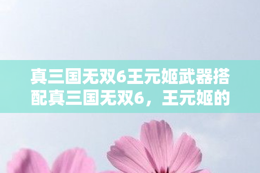 真三国无双6王元姬武器搭配真三国无双6图片