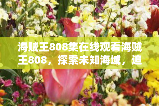 海贼王808集在线观看海贼王808图片
