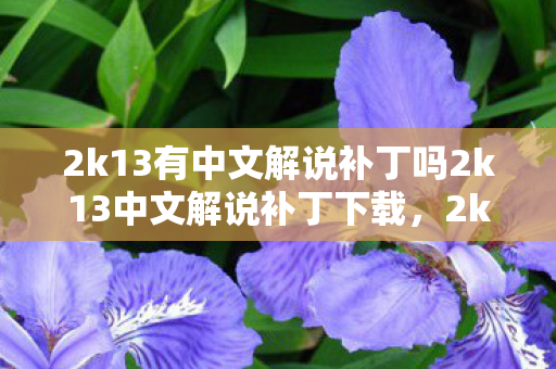 2k13有中文解说补丁吗2k13中文解说补丁下载图片