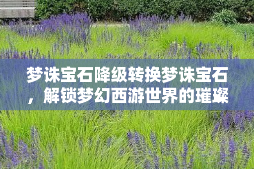 解锁梦幻西游世界的璀璨秘密图片