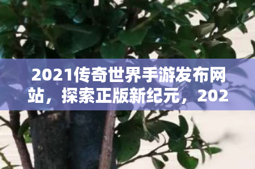 2021传奇世界手游发布网站图片