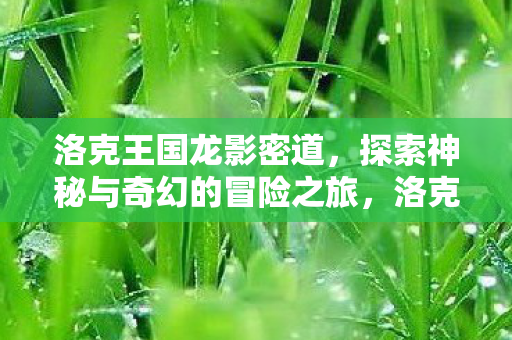探索神秘与奇幻的冒险之旅图片