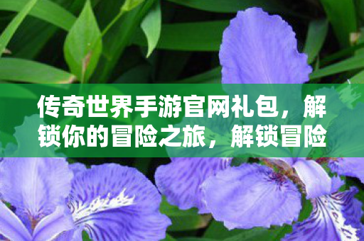 传奇世界手游官网礼包等你来拿图片