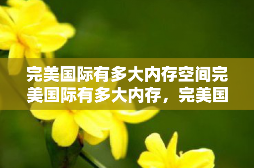 完美国际有多大内存空间完美国际有多大内存图片
