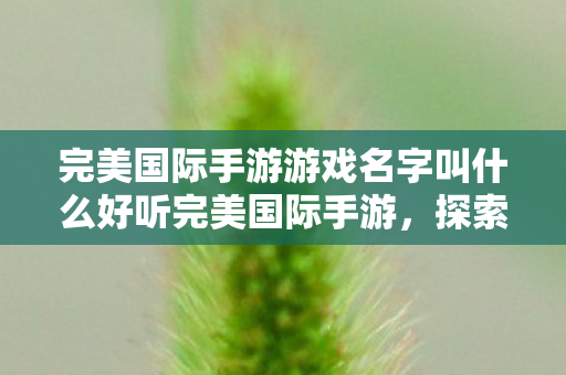 完美国际手游游戏名字叫什么好听完美国际手游图片