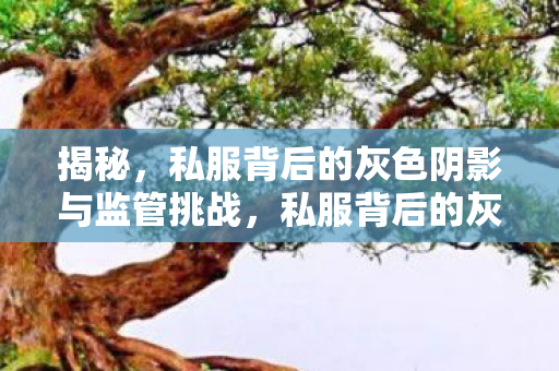 私服背后的灰色阴影与监管挑战图片