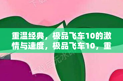 极品飞车10的激情与速度图片