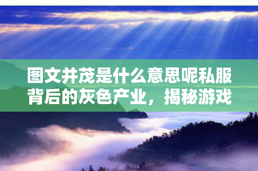 图文并茂是什么意思呢私服背后的灰色产业图片