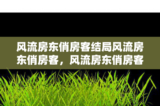 风流房东俏房客结局风流房东俏房客图片