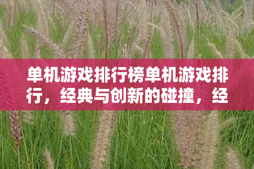 经典与创新碰撞的单机游戏排行图片