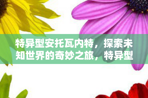 探索未知世界的奇妙之旅图片