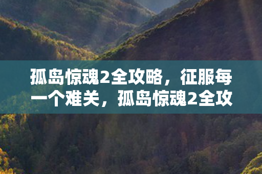 孤岛惊魂2全攻略图片