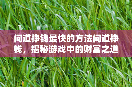 问道挣钱最快的方法问道挣钱,揭秘游戏中的财富之道,揭秘问道游戏中快速赚钱的方法 问道挣钱最快的方法问道挣钱,揭秘游戏中的财富之道,揭秘问道游戏中快速赚钱的方法