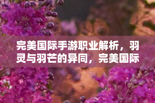 羽灵与羽芒职业异同解析图片