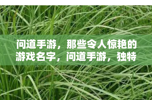 问道手游,那些令人惊艳的游戏名字,问道手游,独特游戏名字大赏,让你惊艳不已! 问道手游,那些令人惊艳的游戏名字,问道手游,独特游戏名字大赏,让你惊艳不已!