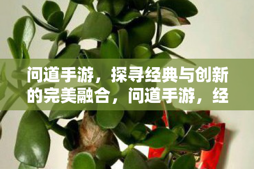 问道手游,探寻经典与创新的完美融合,问道手游,经典与创新完美融合之旅 问道手游,探寻经典与创新的完美融合,问道手游,经典与创新完美融合之旅