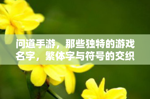 问道手游,那些独特的游戏名字,繁体字与符号的交织艺术,问道手游,独特游戏名字,繁体字与符号的交织艺术 问道手游,那些独特的游戏名字,繁体字与符号的交织艺术,问道手游,独特游戏名字,繁体字与符号的交织艺术