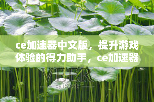 ce加速器中文版，提升游戏体验的得力助手，ce加速器中文版，提升游戏体验的得力助手
