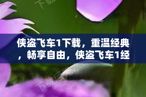 侠盗飞车1下载，重温经典，畅享自由，侠盗飞车1经典再现，自由畅享游戏世界