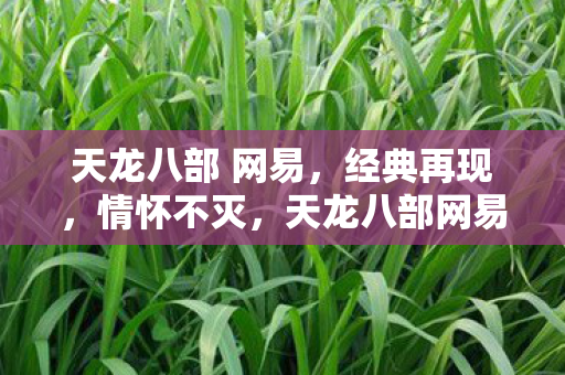 天龙八部 网易图片