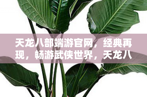 天龙八部端游官网图片