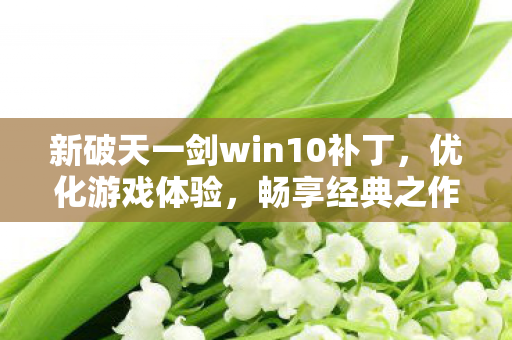 新破天一剑win10补丁，优化游戏体验，畅享经典之作，新破天一剑win10补丁，优化游戏体验，重温经典