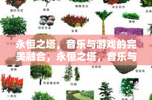 音乐与游戏的完美融合图片