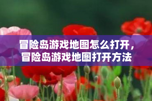 冒险岛游戏地图怎么打开，冒险岛游戏地图打开方法