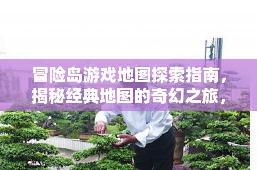 冒险岛游戏地图探索指南，揭秘经典地图的奇幻之旅，冒险岛游戏地图探索全攻略，揭秘经典地图的奇幻之旅
