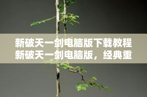 新破天一剑电脑版下载教程新破天一剑电脑版图片