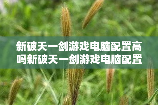 新破天一剑游戏电脑配置高吗新破天一剑游戏电脑配置高吗图片