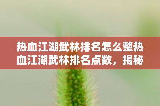 热血江湖武林排名怎么整热血江湖武林排名点数，揭秘江湖高手的荣耀与实力，揭秘热血江湖武林排名点数，展现江湖高手的荣耀与实力