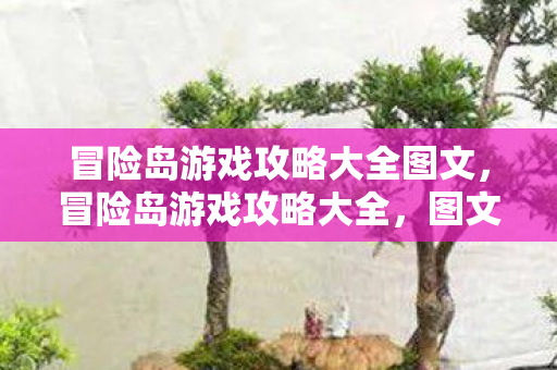 冒险岛游戏攻略大全图文，冒险岛游戏攻略大全，图文详解