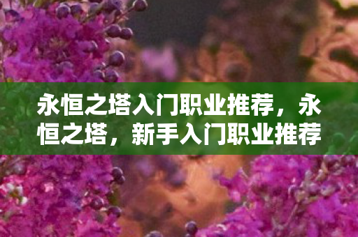 永恒之塔入门职业推荐图片