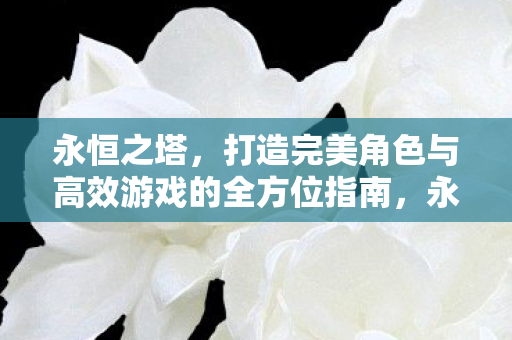 永恒之塔角色打造与高效游戏攻略全解析图片