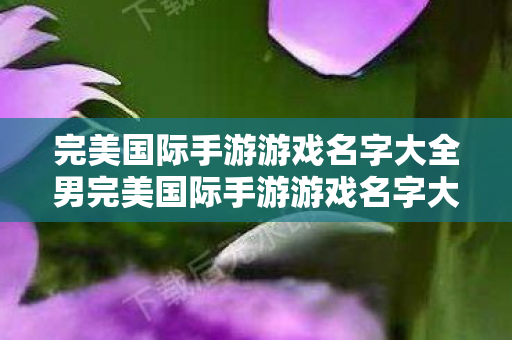 完美国际手游游戏名字大全男完美国际手游游戏名字大全图片