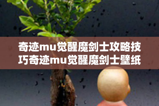 奇迹mu觉醒魔剑士攻略技巧奇迹mu觉醒魔剑士壁纸图片