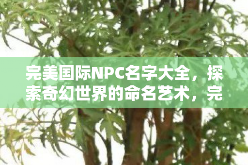 完美国际NPC名字大全图片