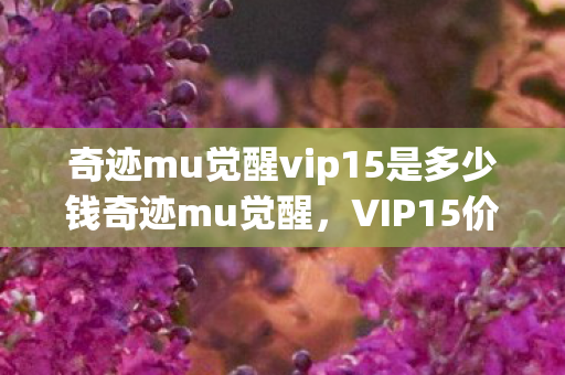 奇迹mu觉醒vip15是多少钱奇迹mu觉醒图片