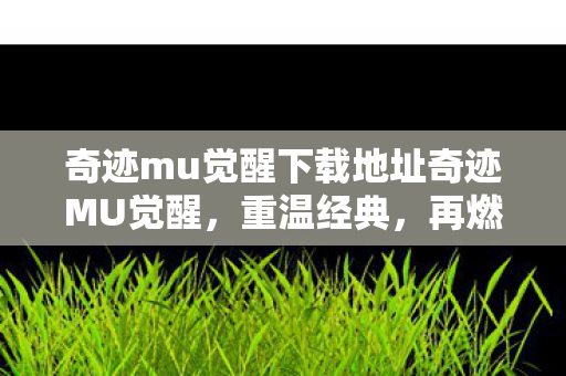 奇迹mu觉醒下载地址奇迹MU觉醒图片