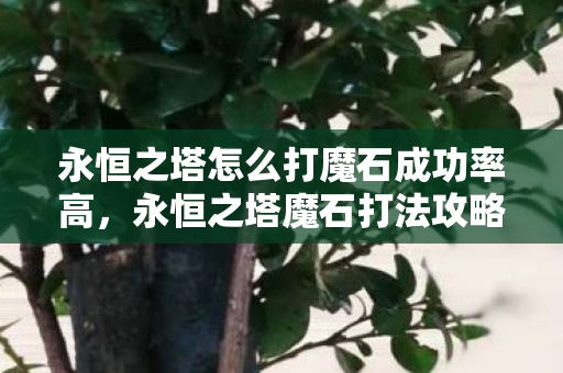 永恒之塔怎么打魔石成功率高图片