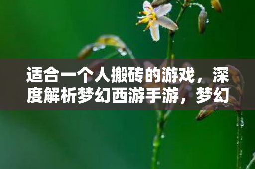 适合一个人搬砖的游戏,深度解析梦幻西游手游,梦幻西游手游,一个人的搬砖之旅,深度解析游戏魅力 适合一个人搬砖的游戏,深度解析梦幻西游手游,梦幻西游手游,一个人的搬砖之旅,深度解析游戏魅力