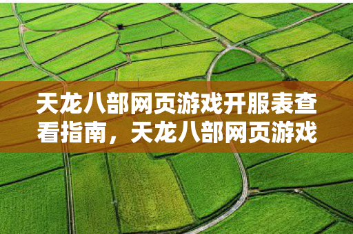 天龙八部网页游戏最新开服表及查看指南图片