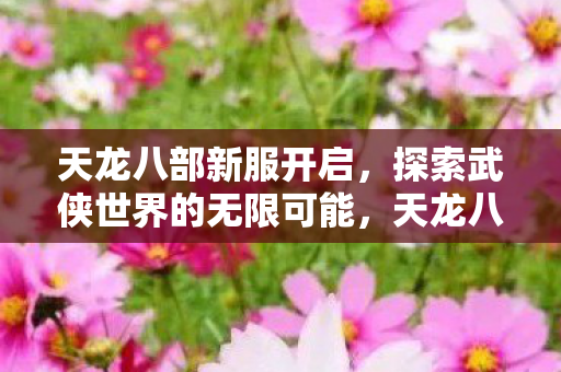 探索武侠世界的无限可能图片
