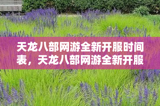 天龙八部网游全新开服时间表公布图片