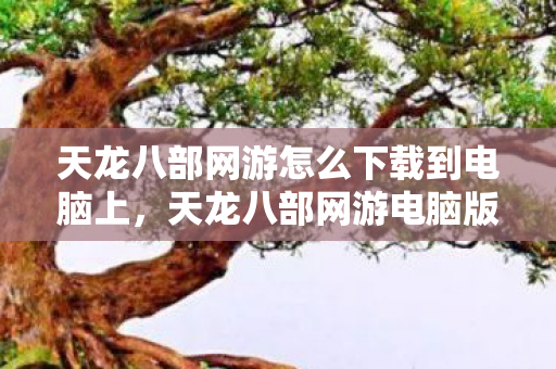 天龙八部网游怎么下载到电脑上图片