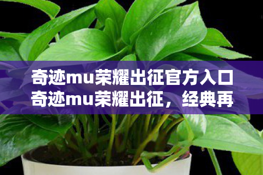 奇迹mu荣耀出征官方入口奇迹mu荣耀出征图片