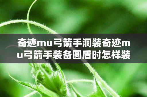 奇迹mu弓箭手洞装奇迹mu弓箭手装备圆盾时怎样装弩图片