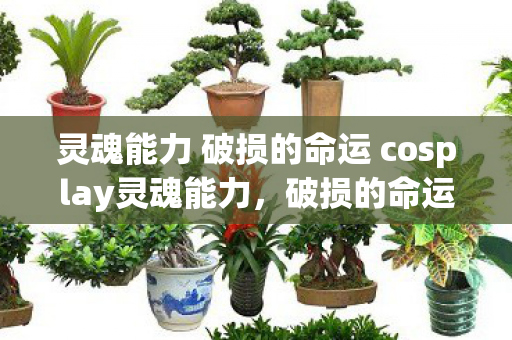 灵魂能力 破损的命运 cosplay灵魂能力图片