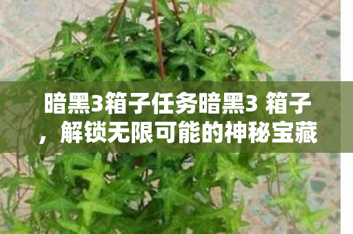 暗黑3箱子任务暗黑3 箱子图片